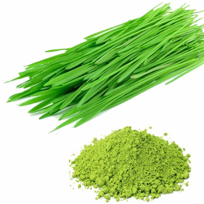 Buy Organic Wheat Grass Powder Online in Mohali at best price ...