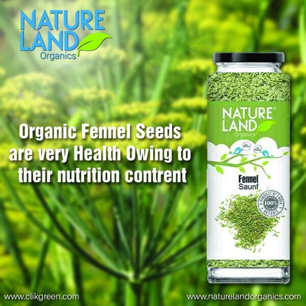 ORGANIC FENNEL (SAUNF) - Image 2