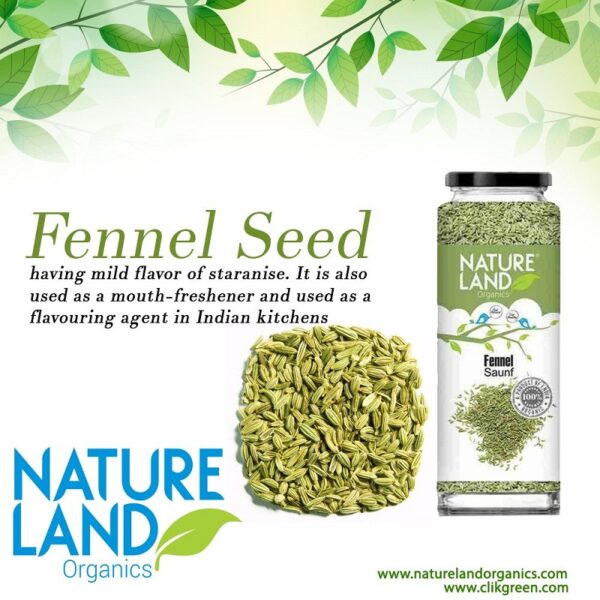 ORGANIC FENNEL (SAUNF)