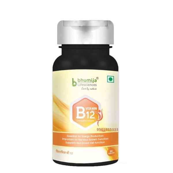 BHUMIJA B12 VITAMIN 60 TABLETS - Image 2
