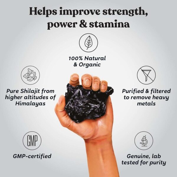 SHILAJIT ORIGINAL HIMALAYAN 20gm - Image 2