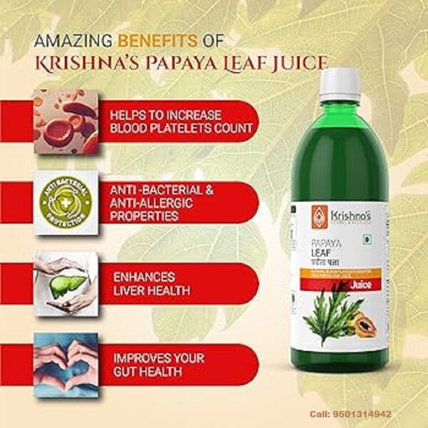PAPAPYA LEAF JUICE 500ML - Image 2